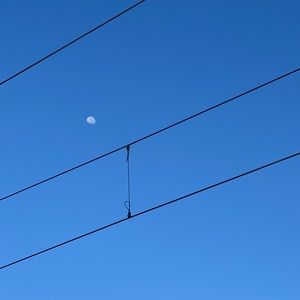 Meet your Posher, Zoe